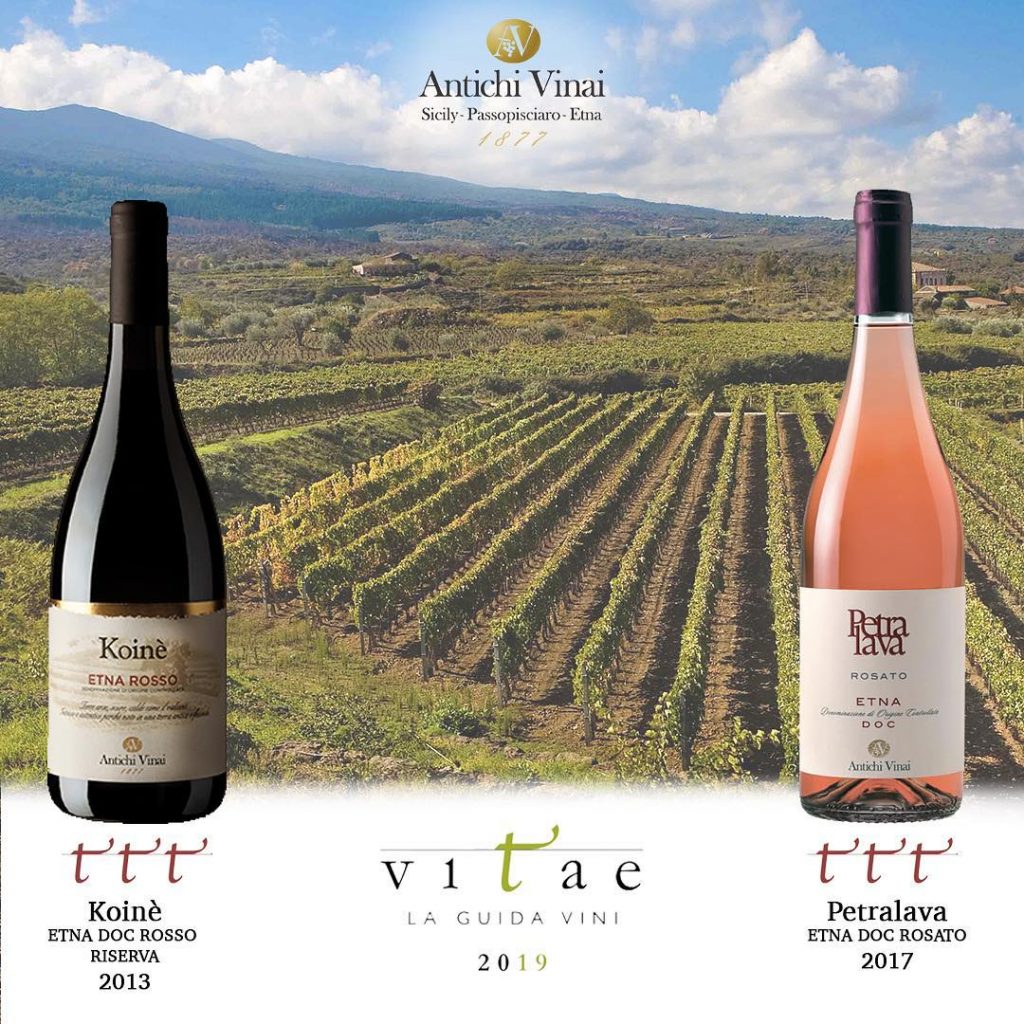 VITAE2019